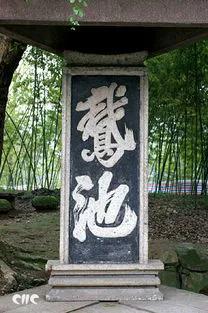 散文三只鹅,关于鹅的散文