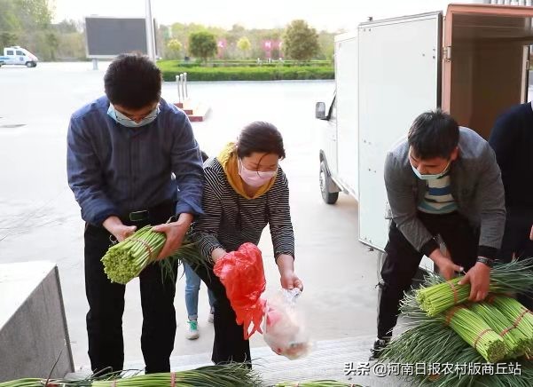 商丘爱心团队购三万斤滞销萝卜,滞销蔬菜引发爱心接力