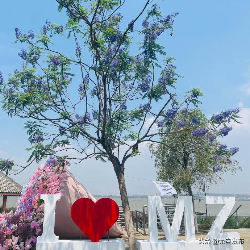 蒙自特产团购,蒙自美食特产水果