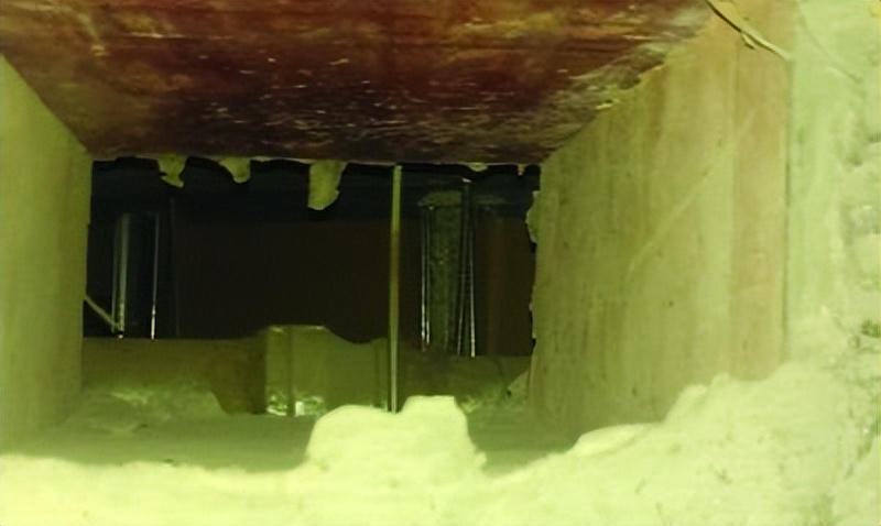 母老鼠怎么灭鼠,灭老鼠的最佳方法