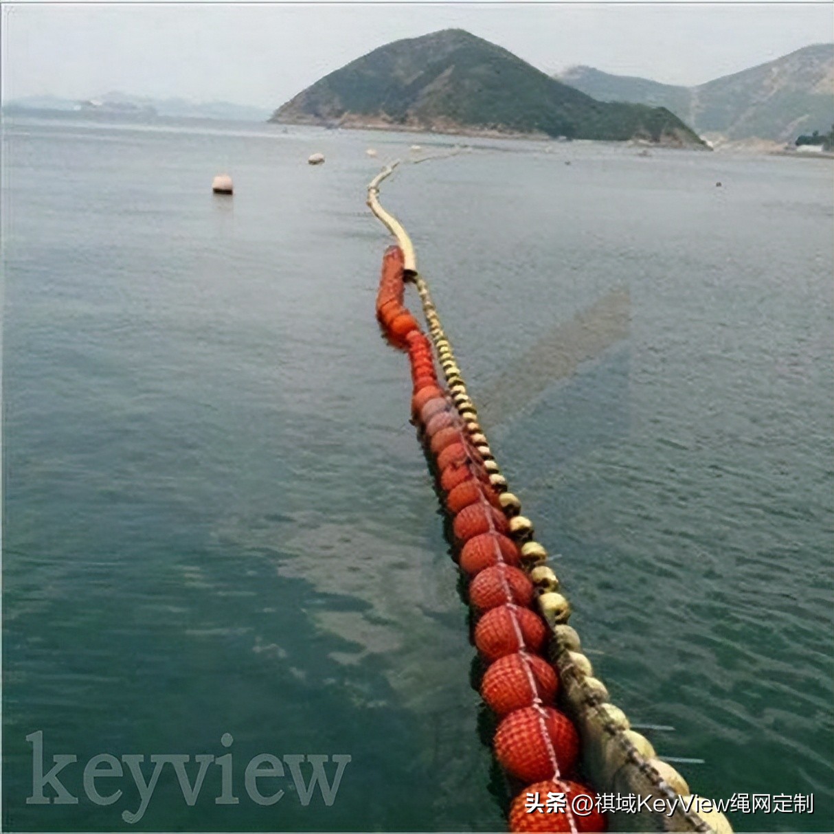 百舸争流赛龙夺锦,百舸争流龙舟赛