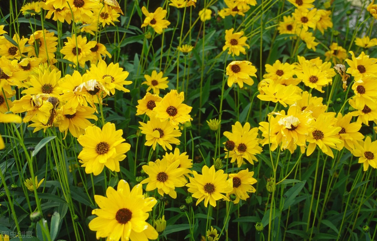 半生已过在余生里请不要辜负自己,半生已过后半生请善待自己