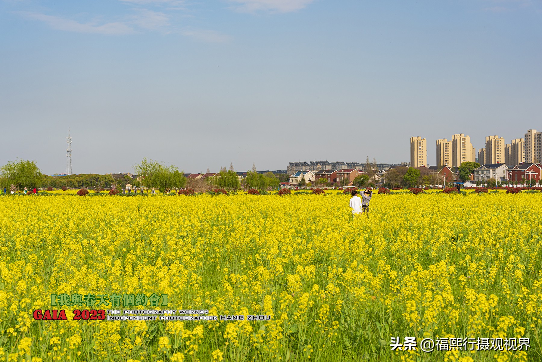 上海周边县一日游推荐,上海旅游民居攻略路线图