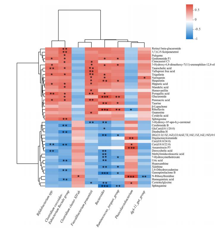 柑橘类黄酮提取物功效和作用,柑橘类黄酮提取物的功效