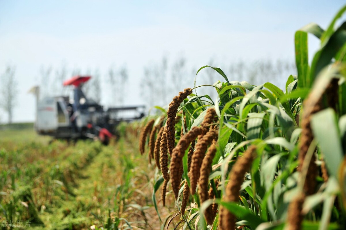 农资销售行业的困局,做农资经销商有多大的利润空间