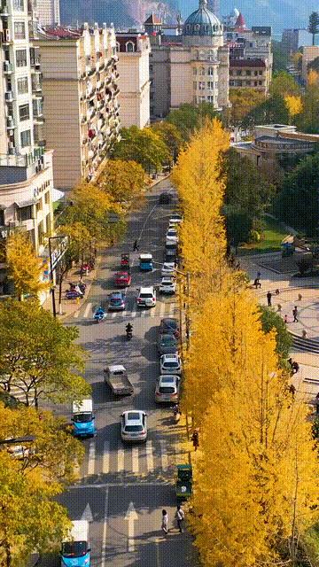 中国唯一用欧元买菜的江南小城,青田市民买菜用欧元