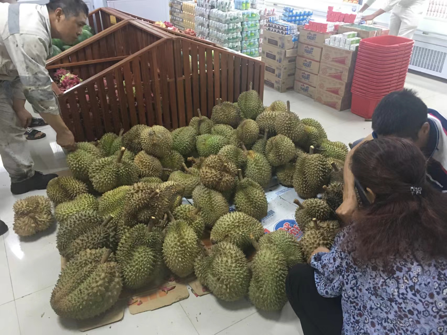 青山印尼项目,青山印尼钢铁厂