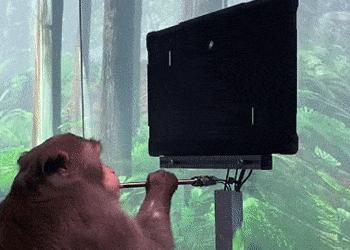 陈天桥捐10亿美国,老板陈天桥捐70亿