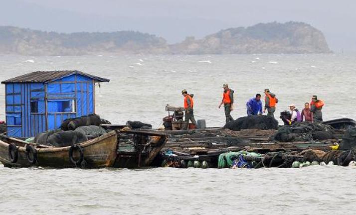 福建海边出现神秘金片，遭渔民哄抢一空，专家调查后：金片不简单