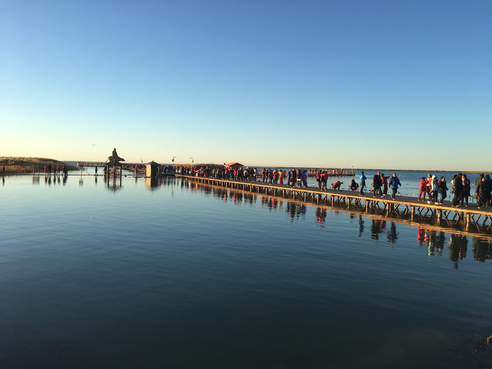 北京自驾额济纳胡杨林十天攻略,从北京到额济纳胡杨林线路