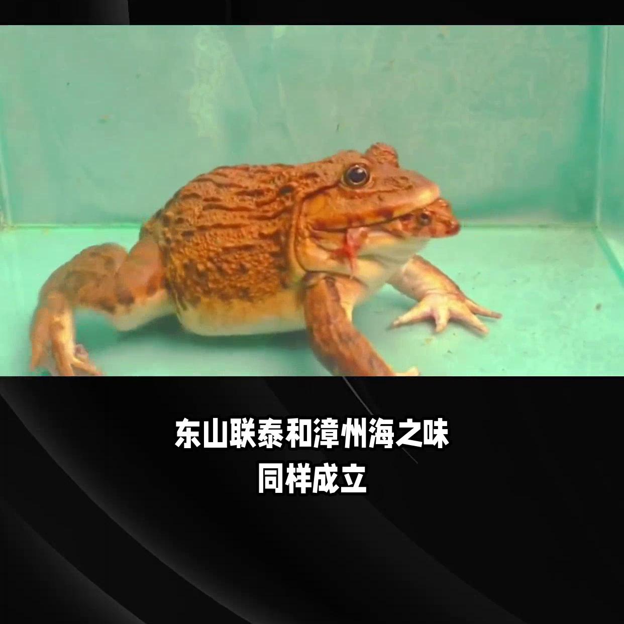 我国3月零售销售数据公布,2023年零售数据统计