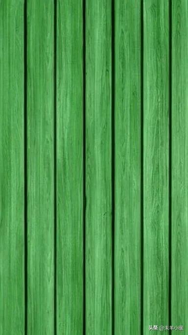 最美的手机壁纸大全,养眼养心的壁纸