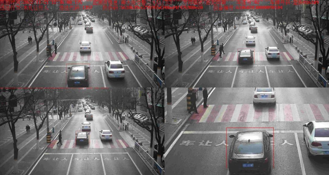 百日行动交警违法曝光,百日安全行动违规车辆