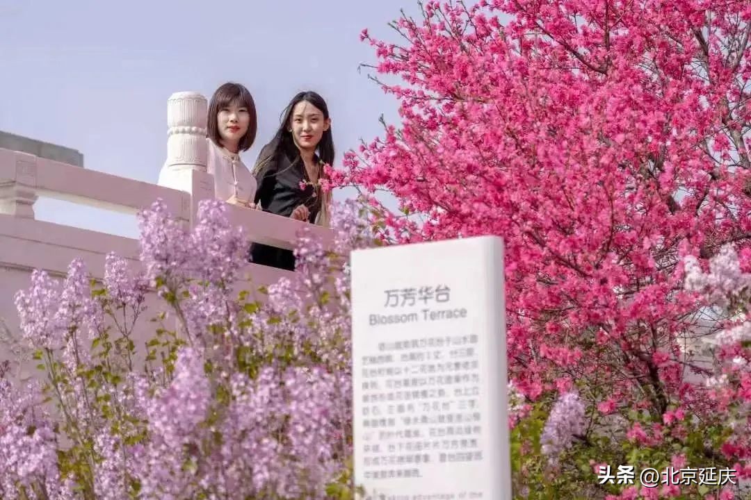 延庆冬奥小镇游玩,北京冬奥延庆观光旅游