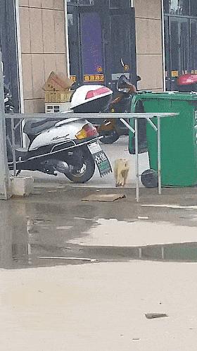 发烧真的会烧坏脑子，笑死我了哈哈哈哈哈哈哈