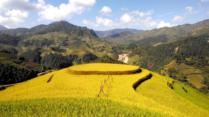 期货高手5秒周期交易技巧,玉米期货交易高手实操技巧