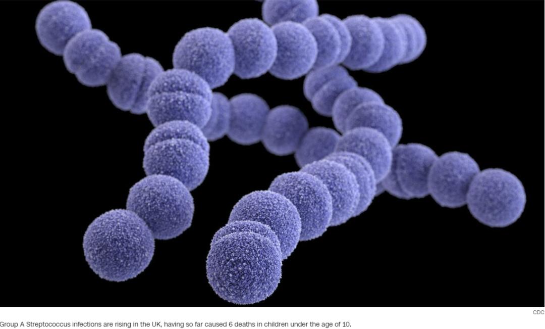 A链球菌爆发已造成多人死亡!BC省女童被误诊丧命!家长们注意...