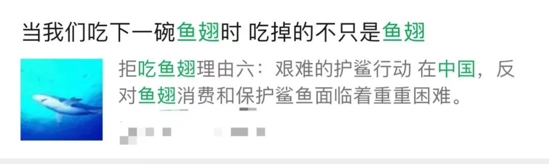 姚明公益广告拒绝吃鱼翅,姚明吃鱼翅原视频