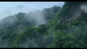 山村十大诡异怪事件,四川大山发现的怪物