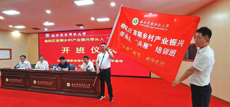 打造新型产业集群服务乡村振兴,做强主导产业助推乡村振兴