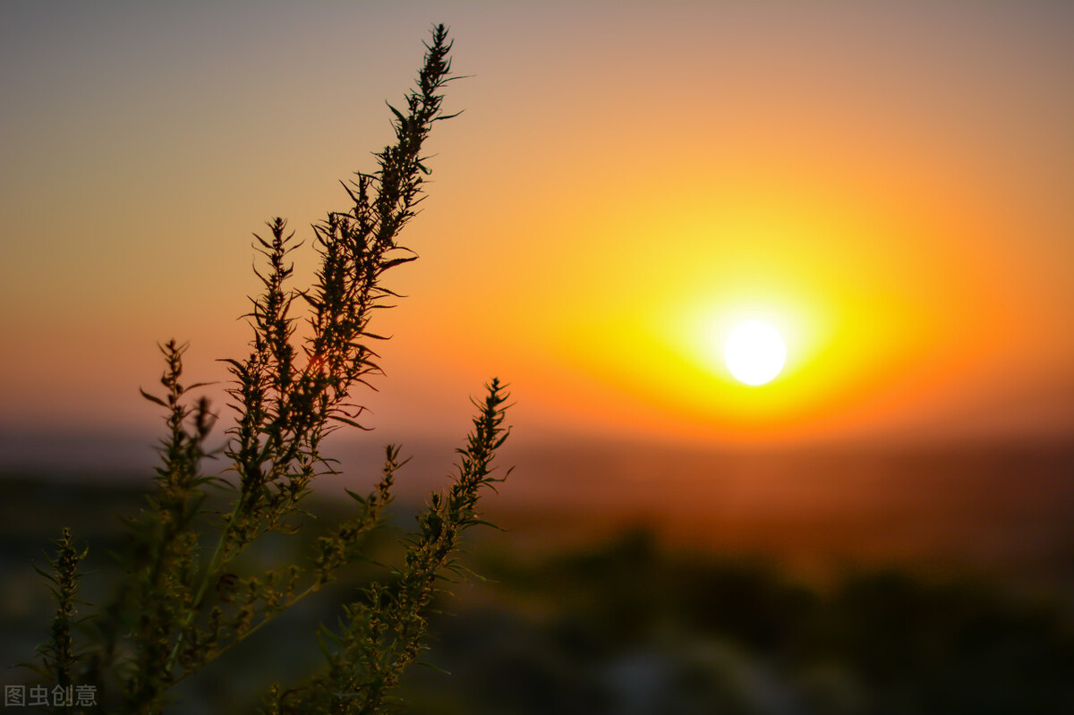 最值得收藏的100首五言绝句,惊艳古今的五言绝句