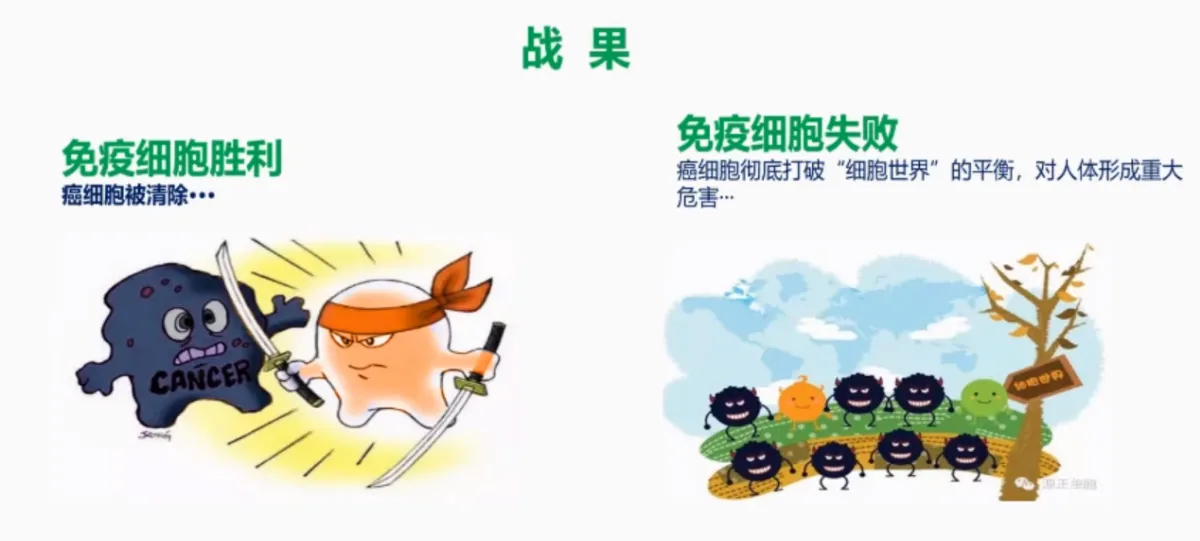 过敏体质是免疫力低还是免疫力高,过敏体质到底是免疫力强还是弱