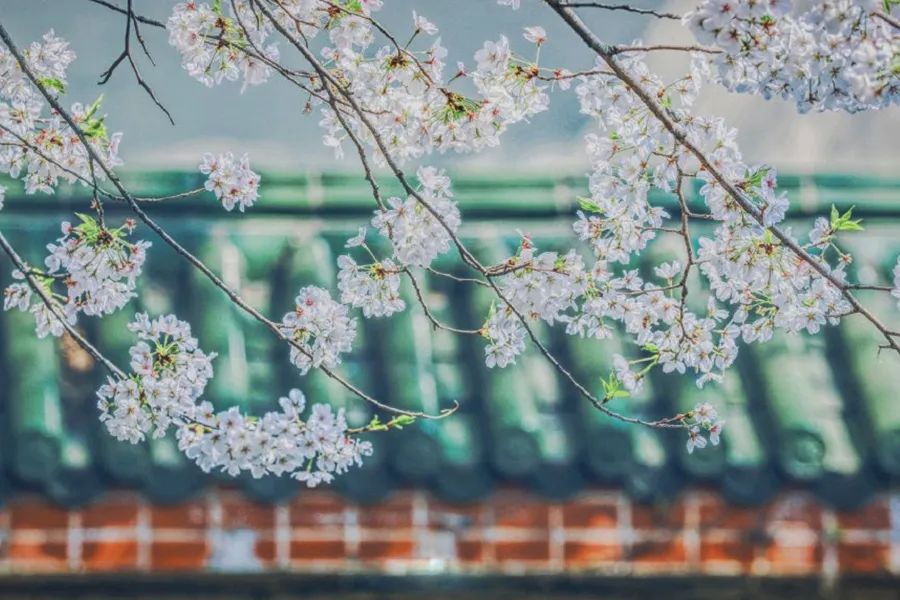 小窗幽记十句处世哲学,小窗幽记100句通透话