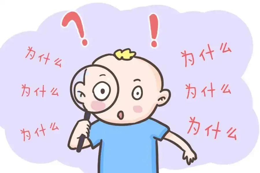 1包13000元的薯片，你吃过吗？