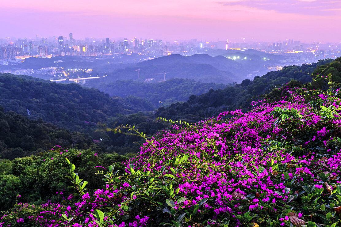 在广州旅游的真实感受,广州旅游必去十大城市