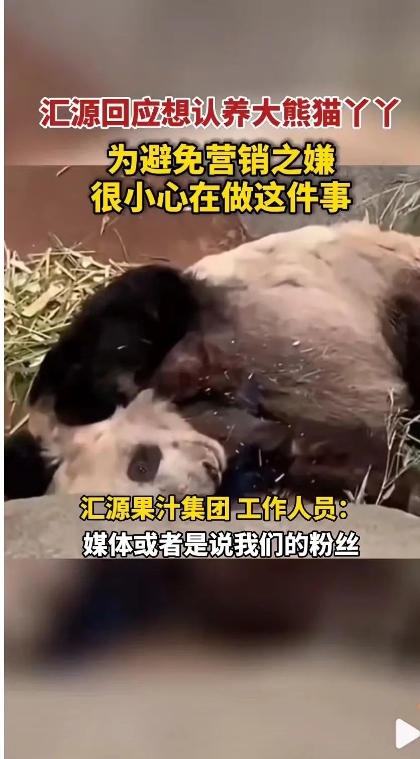 秒出100万！认养丫丫们背后，他们竟是最大赢家？