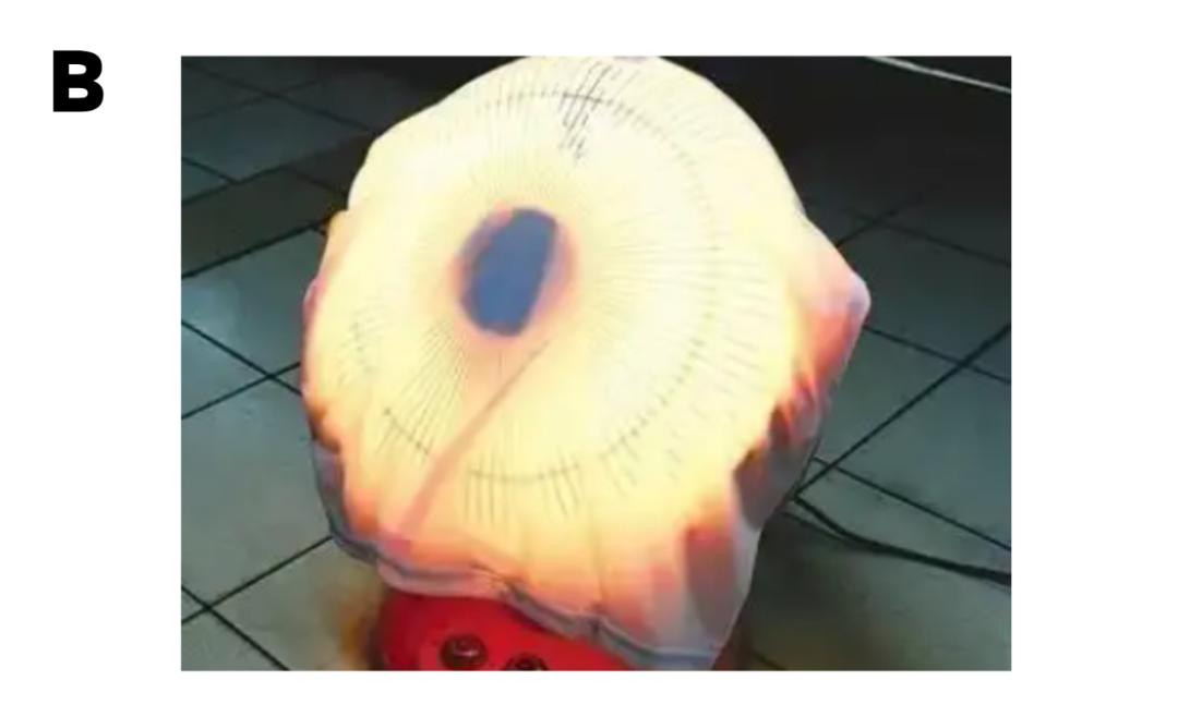 朋友圈里晒现金后，邻居们亲眼看着他们被烧死|消防安全故事