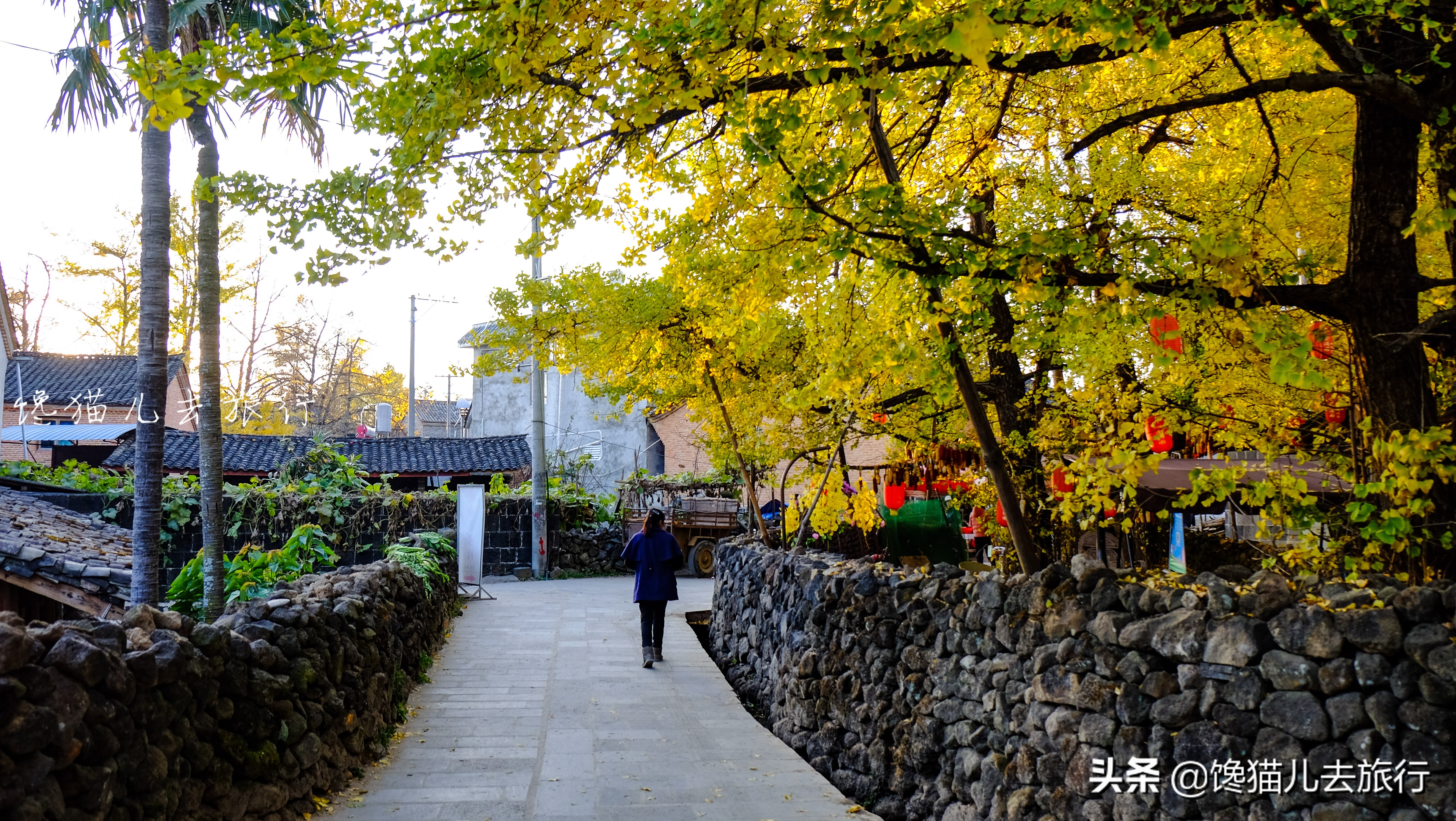 自驾游云南攻略15天以上路线推荐,云南旅游自驾全攻略自由行线路