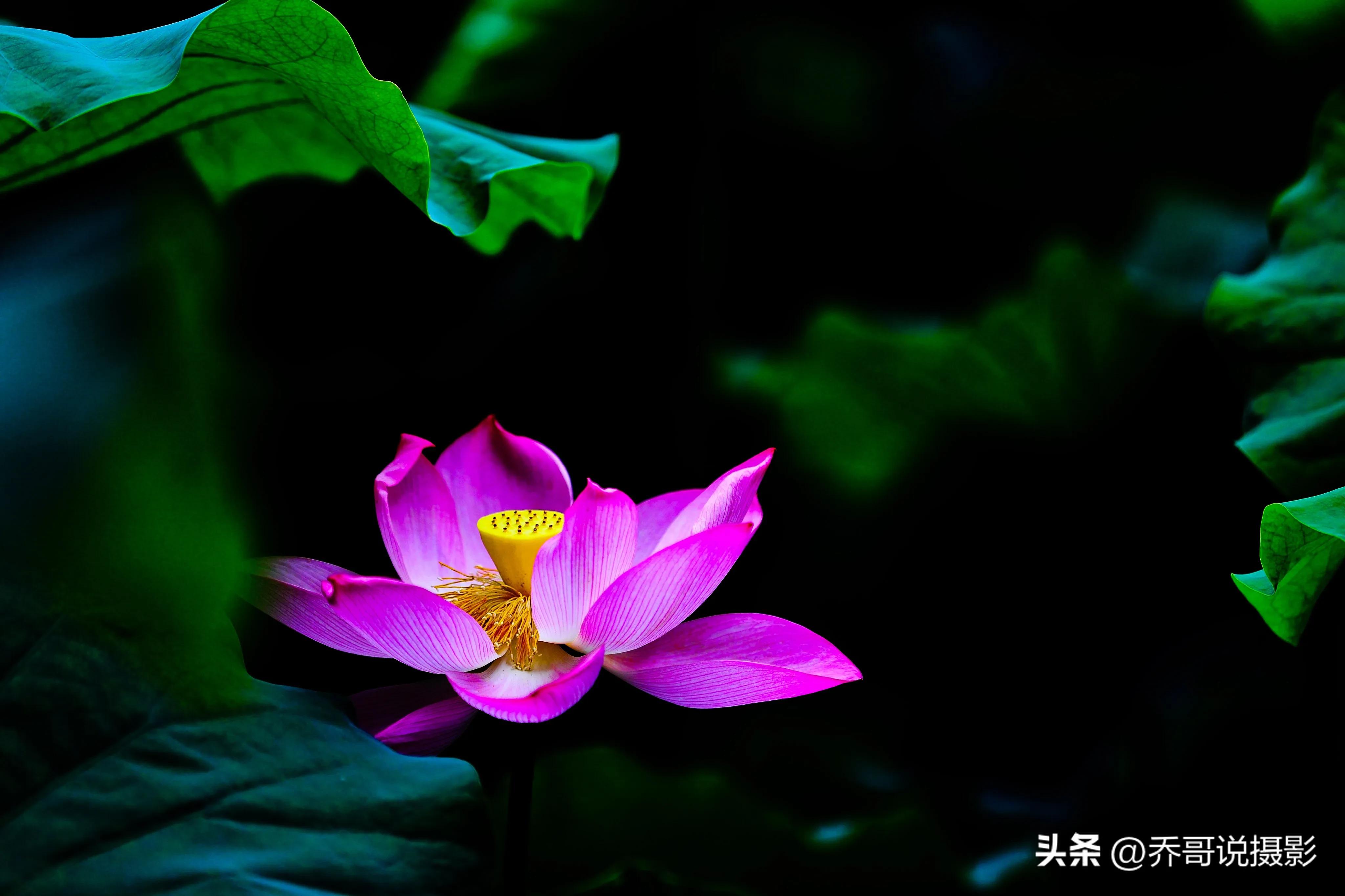 摄影重要还是后期重要,摄影和后期哪个重要