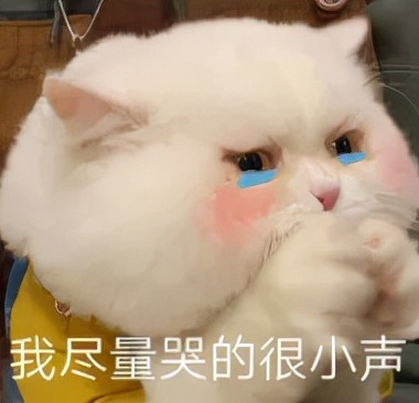 离婚女主持私生子,离婚女主持