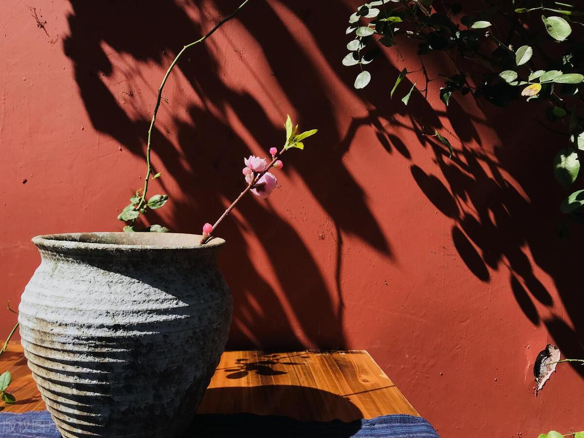 朋友恋人红颜知己有什么区别,什么叫朋友红颜知己