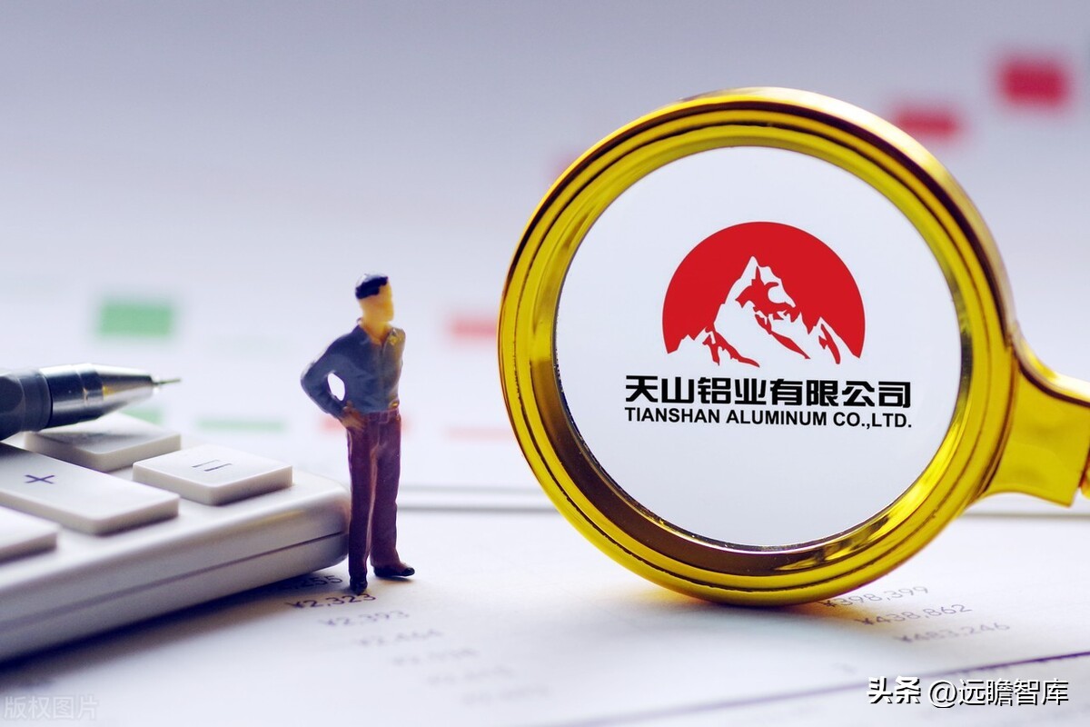 天山铝业高纯铝项目最新进度,天山铝业行业龙头