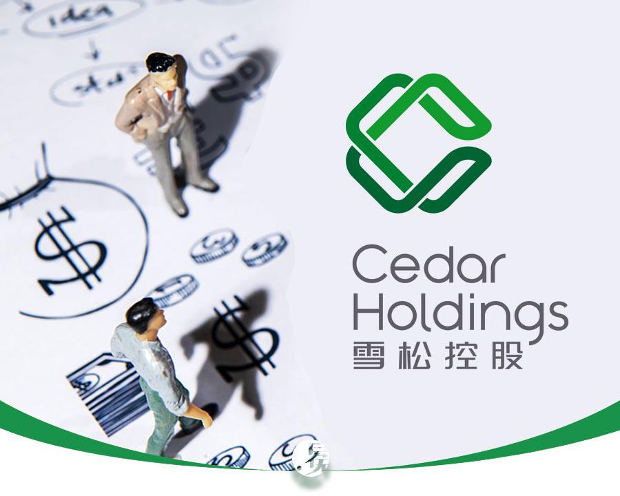 雪松被抓名单,雪松老板被抓