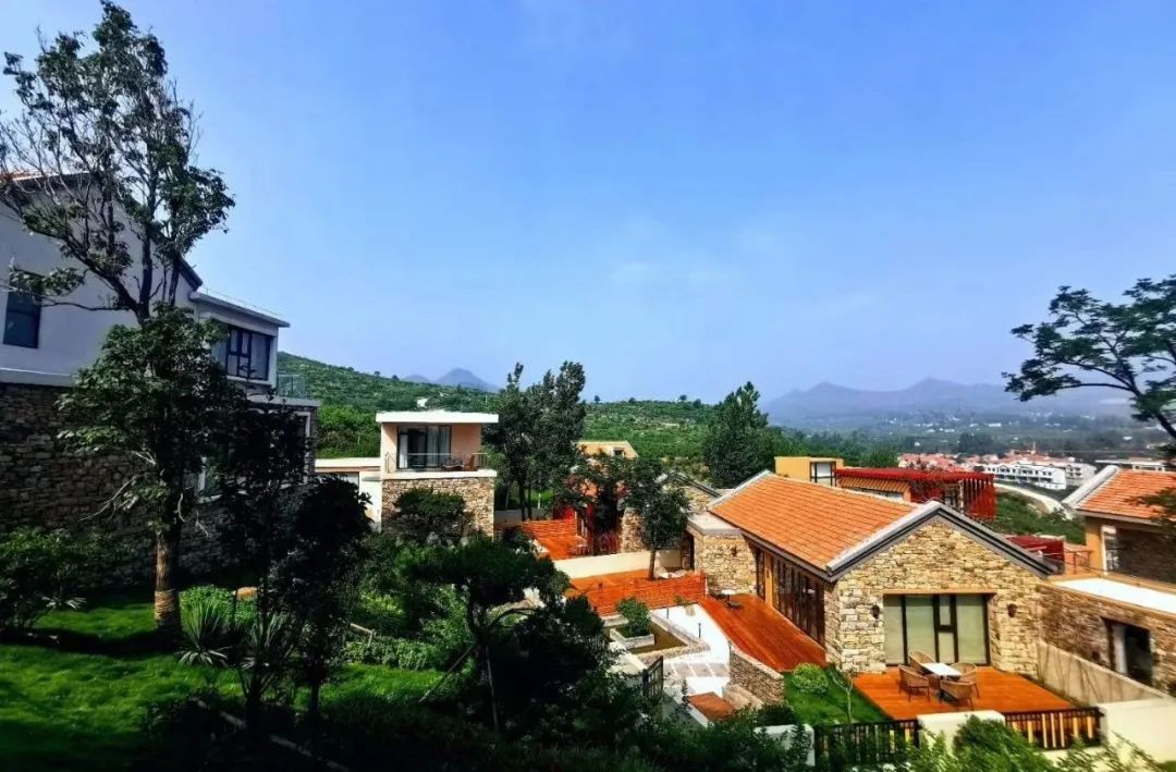 乡村振兴100讲全集,100个经典乡村振兴案例