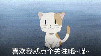 泰迪喜欢主人的表现有哪些,泰迪身体有这些表现得赶紧驱虫了