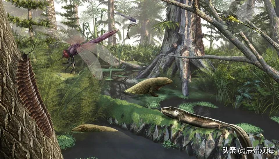 3.06亿年前的地球,3亿年前的大蜘蛛