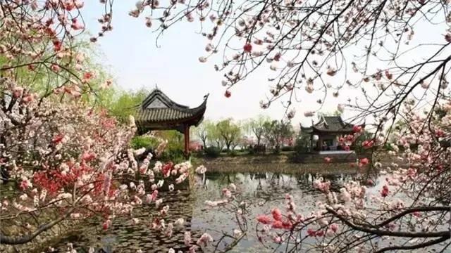 山中送别古诗词,支教送别古诗词