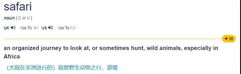 苹果safari功能标志什么意思,苹果浏览器safari读音