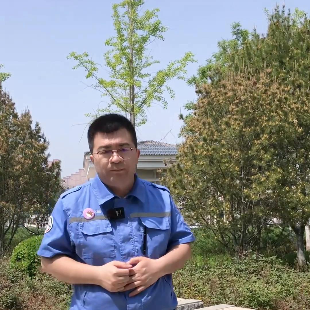 北京车牌公司摇号都需要什么条件 (北京公司摇号车牌需要什么条件)