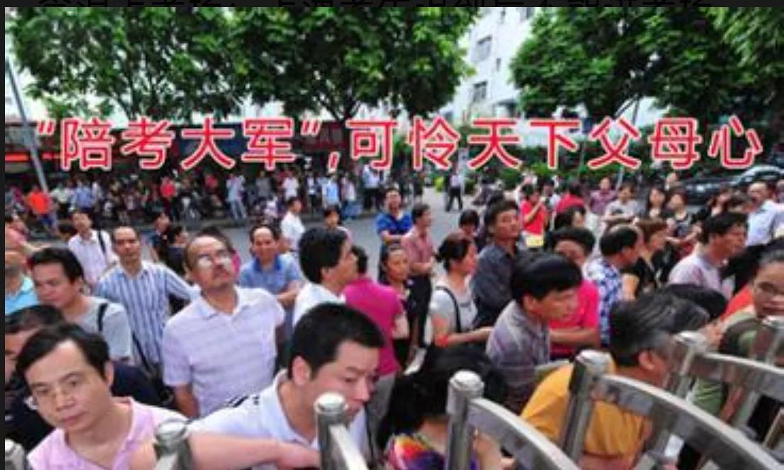 为让孩子安心高考,家长毒死一池青蛙。高考真的是“尚方宝剑”?