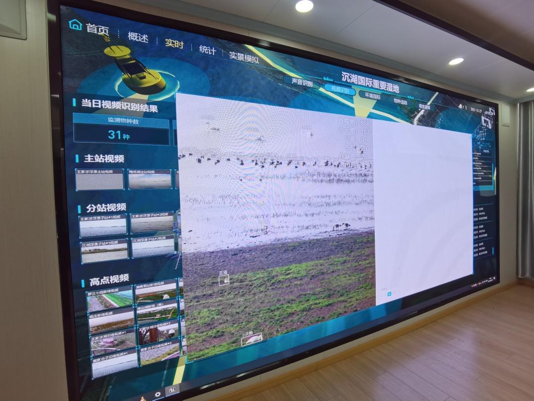 杭州钓鱼男子救人,广东男子在河边救下一只怪鸟