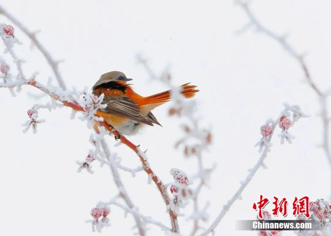 怎么刷自己的信用卡,自己怎样玩转信用卡