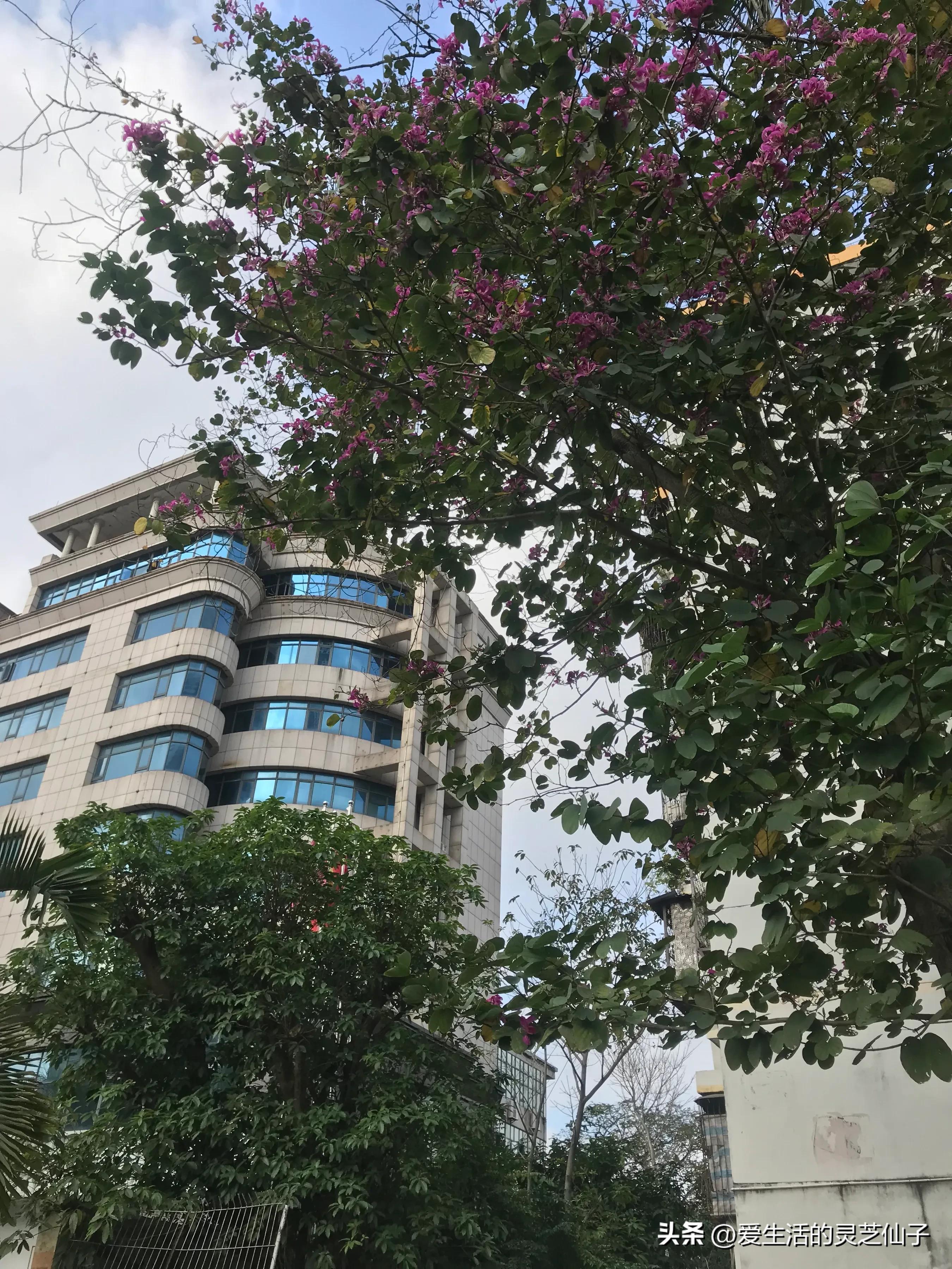 一个内陆人眼中的海南及海南人