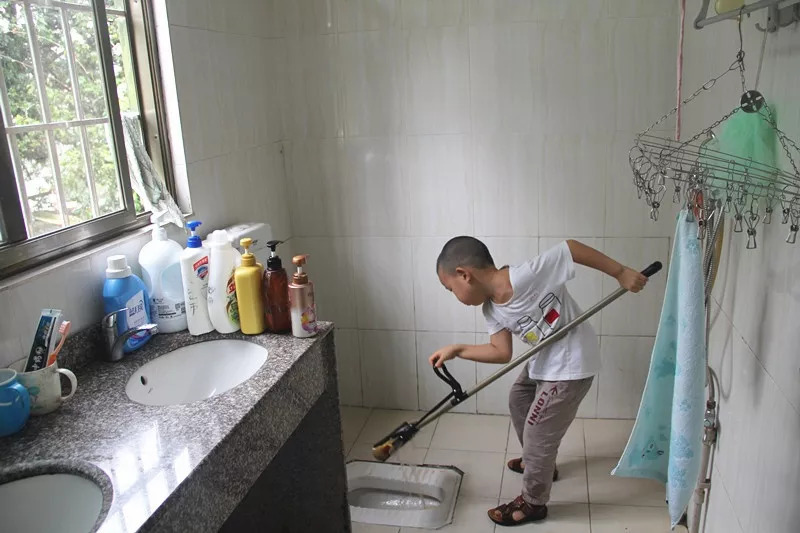 卫生间小飞虫的危害,卫生间小飞虫如何彻底解决