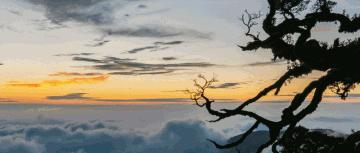 金秀圣堂湖在圣堂山吗,广州南浦出发一日游