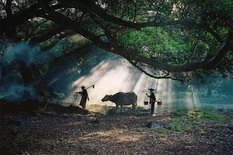 雨水哲理,雨水的好句